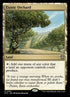 293-exoticorchard.jpg