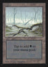 294-swamp.jpg