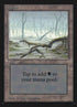 294-swamp.jpg
