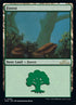 295-forest.jpg
