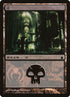 295-swamp.jpg