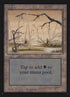295-swamp.jpg