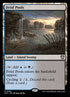 296-fetidpools.jpg