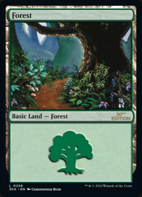 296-forest.jpg