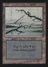 296-swamp.jpg