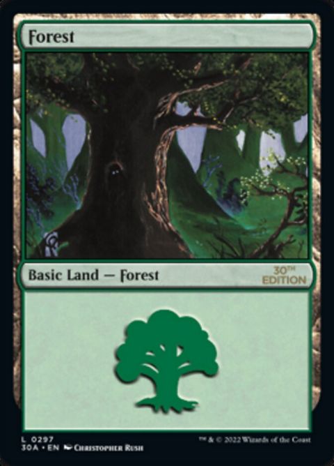 297-forest.jpg