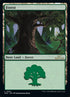 297-forest.jpg