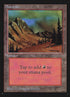 299-mountain.jpg