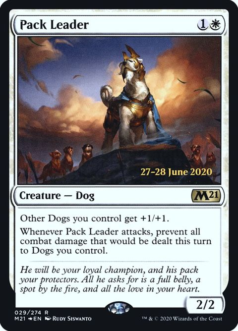 29s-packleader.jpg