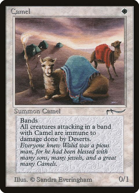 3-camel.jpg