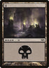 3-swamp.jpg