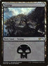 3-swamp.jpg