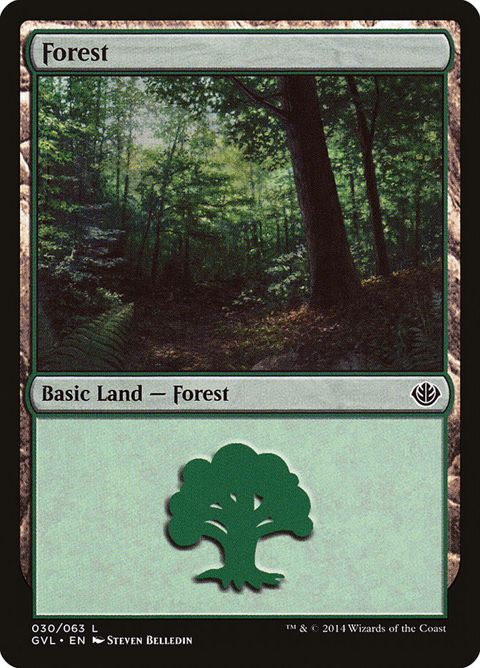 30-forest.jpg