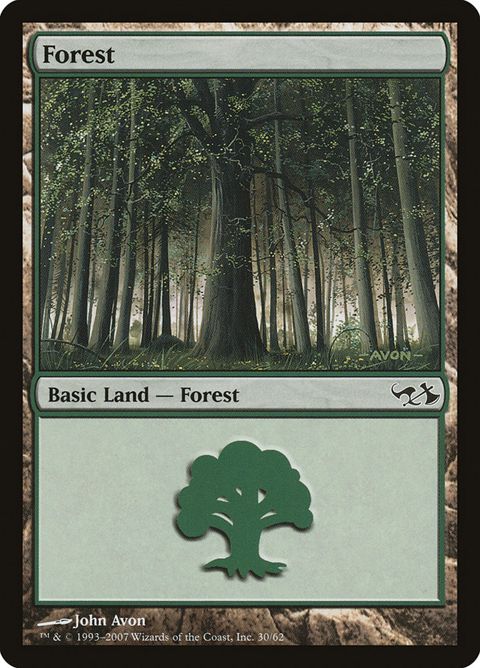30-forest.jpg