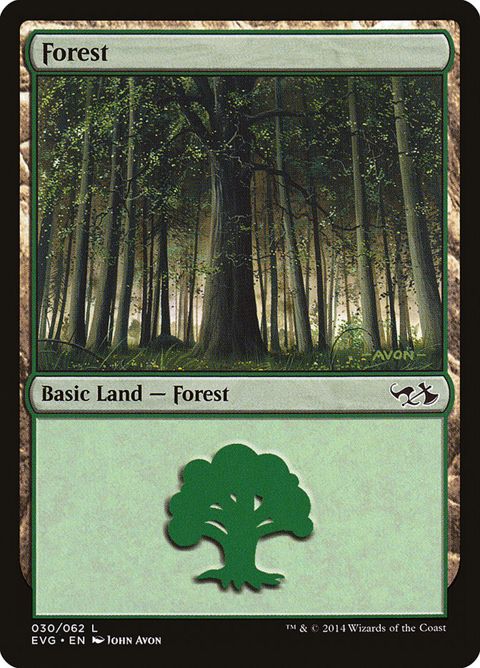 30-forest.jpg