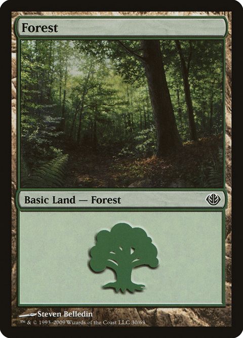 30-forest.jpg