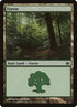 30-forest.jpg