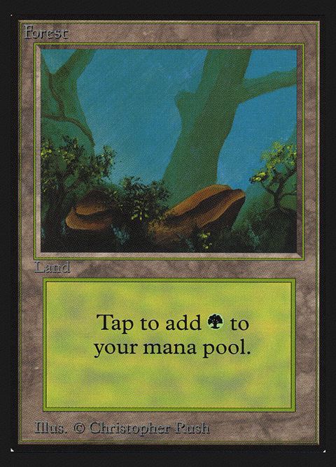 300-forest.jpg