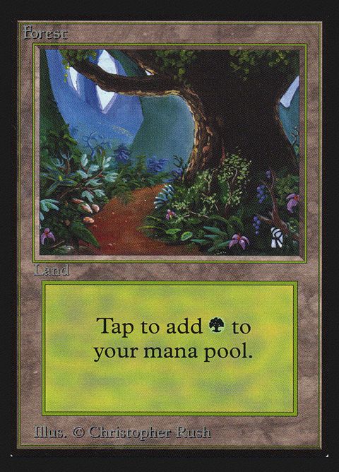 301-forest.jpg