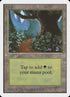 301-forest