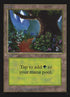 301-forest.jpg