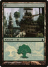 304-forest.jpg