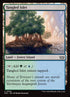 306-tangledislet