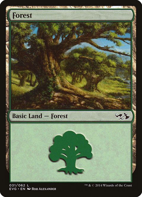 31-forest.jpg
