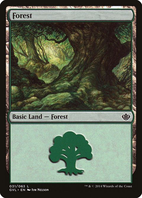 31-forest.jpg