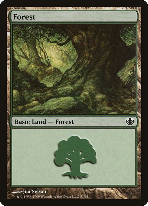 31-forest.jpg