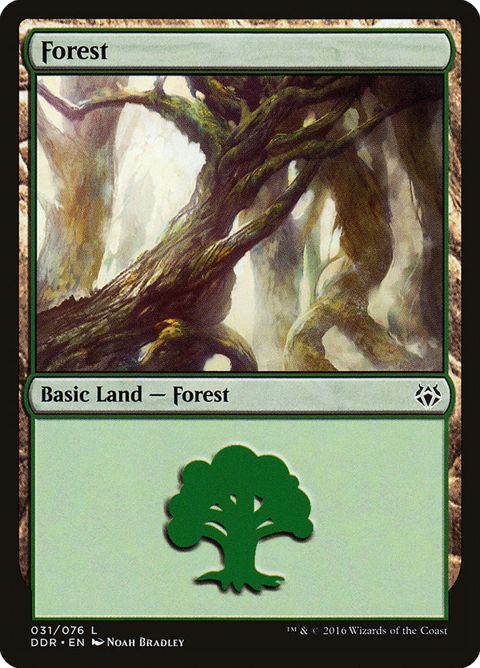 31-forest.jpg