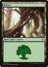 31-forest.jpg