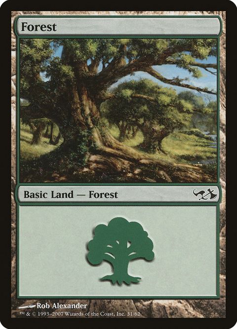 31-forest.jpg