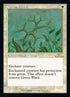 317-greenward.jpg