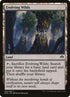 32-evolvingwilds.jpg