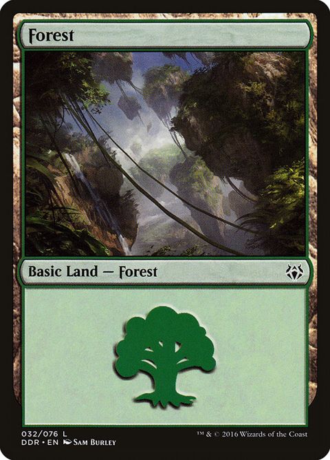 32-forest.jpg