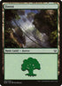32-forest.jpg