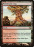 32-rootboundcrag.jpg