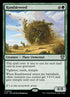 32-rumbleweed.jpg
