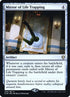 326s-mirroroflifetrapping.jpg