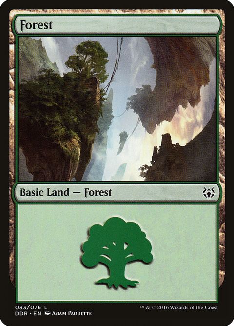 33-forest.jpg