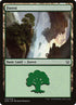 33-forest.jpg