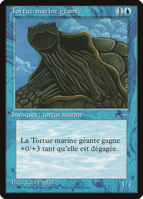 34-gianttortoise.jpg
