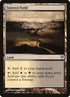 34-taintedfield.jpg
