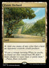 341-exoticorchard
