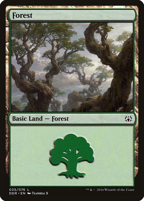 35-forest.jpg