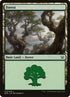 35-forest.jpg
