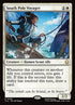 35-southpolevoyager