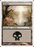35-swamp.jpg