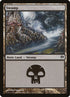 35-swamp.jpg